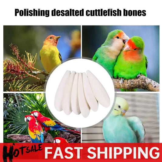 Cuttlefish Bone Parrot Bird Chewing Toys