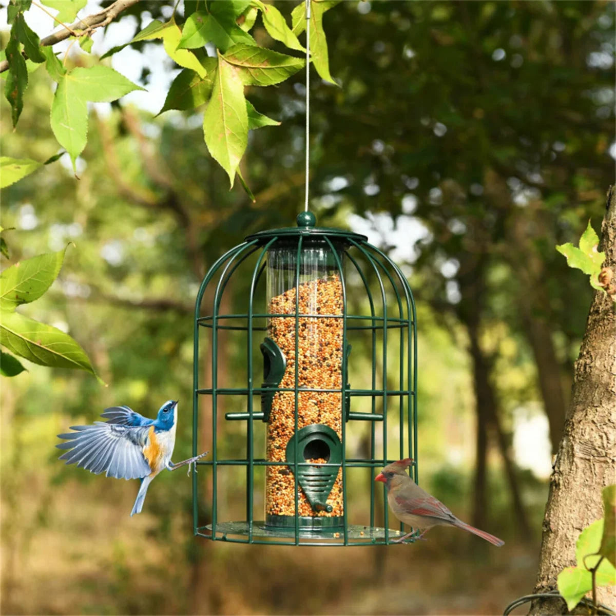 Bird Feeder 7'' x7'' x10'' Small Animals Feeding & Watering