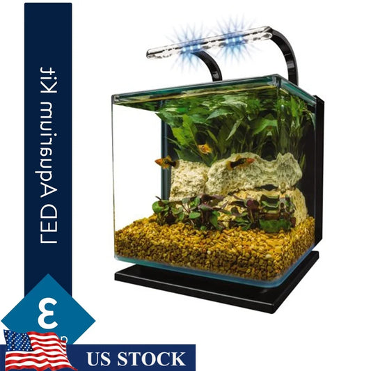 3 Gallon Aquarium Kit Hidden Filtration Full View