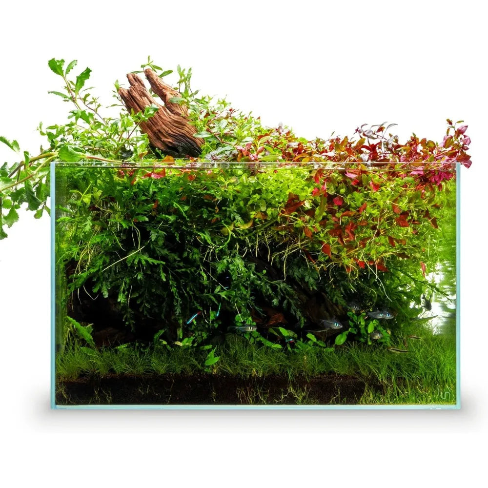 Ultra Clear Rimless Aquarium - Low Iron Glass