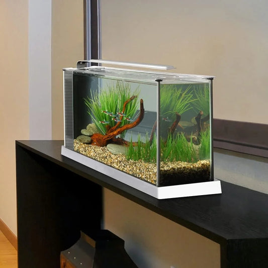 5 Gallon Aquarium Kit with Adjustable Pump