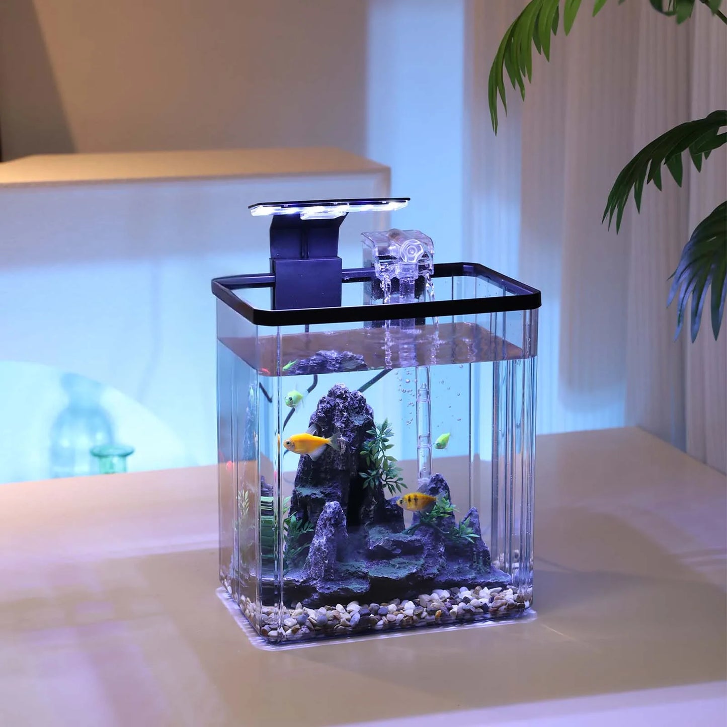 Plastic Fish Tank Starter Kits with LED