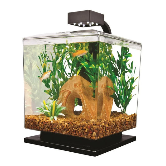 LED Aquarium Kit 1.5 Gallon Cube Tank