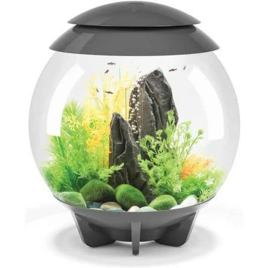 Acrylic 4-Gallon Aquarium with Multi-Color Remote