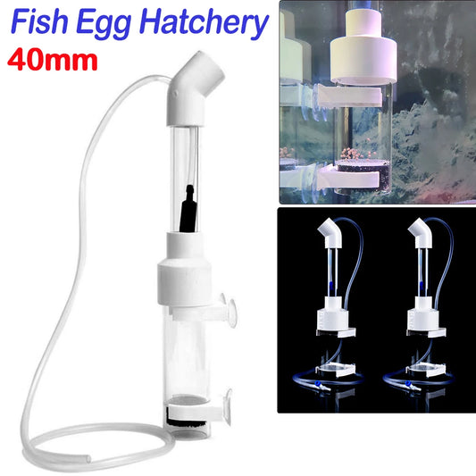 40mm Incubator Fish Hatchery Cichlids Hatchery Eggs