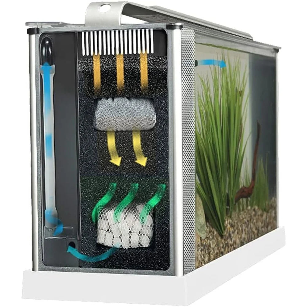 5 Gallon Aquarium Kit with Adjustable Pump