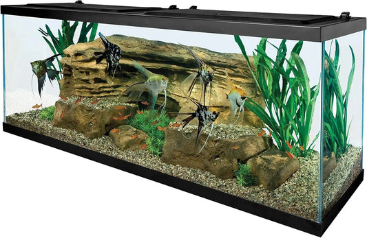Glass Aquarium 55 Gallons, Rectangular Fish Tank