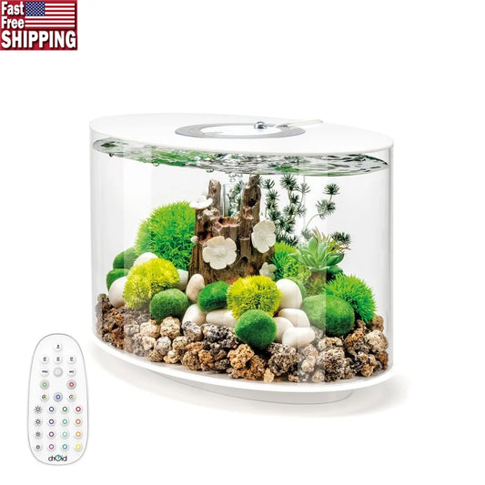 15 Gallon Aquarium with MCR Light, Decoration