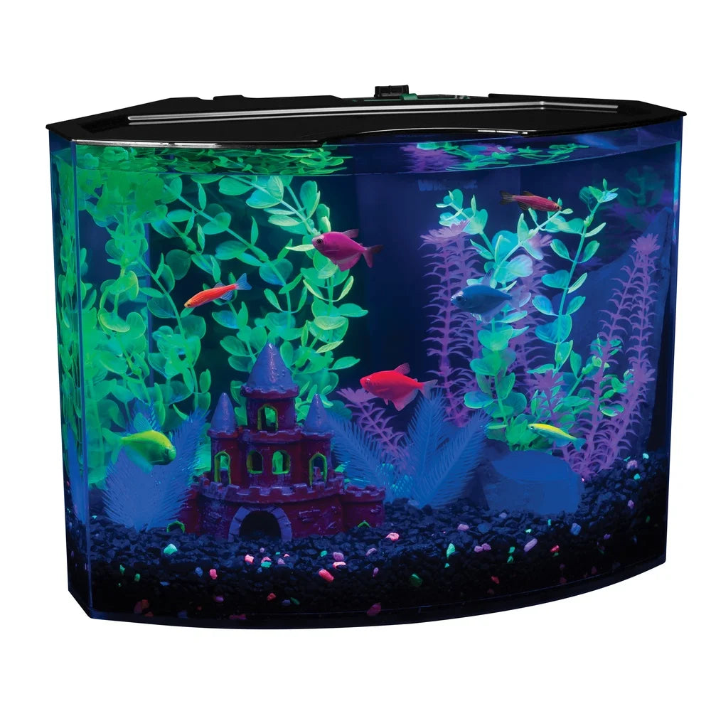 5 Gallon Aquarium Kit with Light Fluorescent