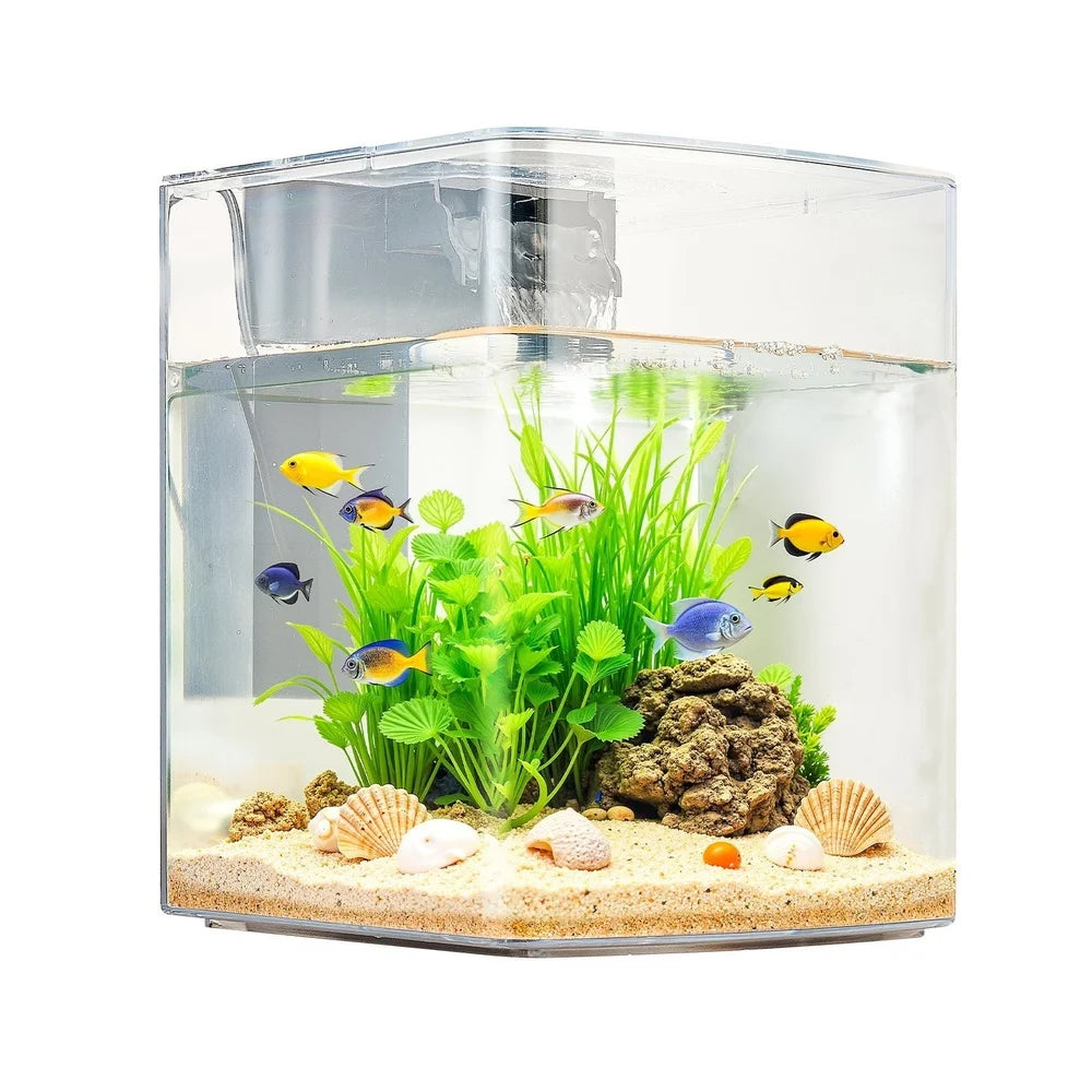 2 Gallon Self-Cleaning Arched Aquarium